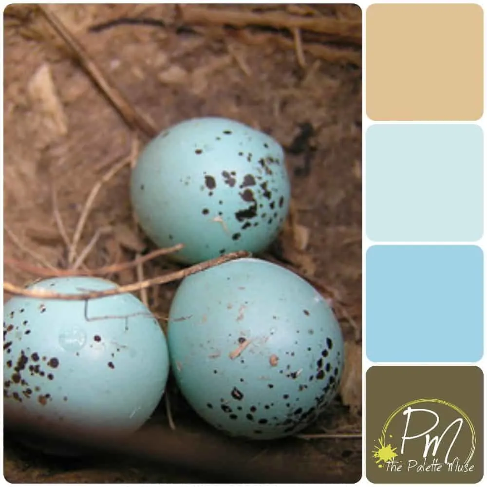 Robin eggs palette with Blues and Browns 