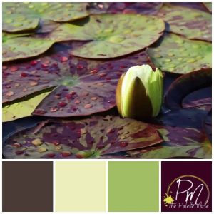 Water Lily Color Palette