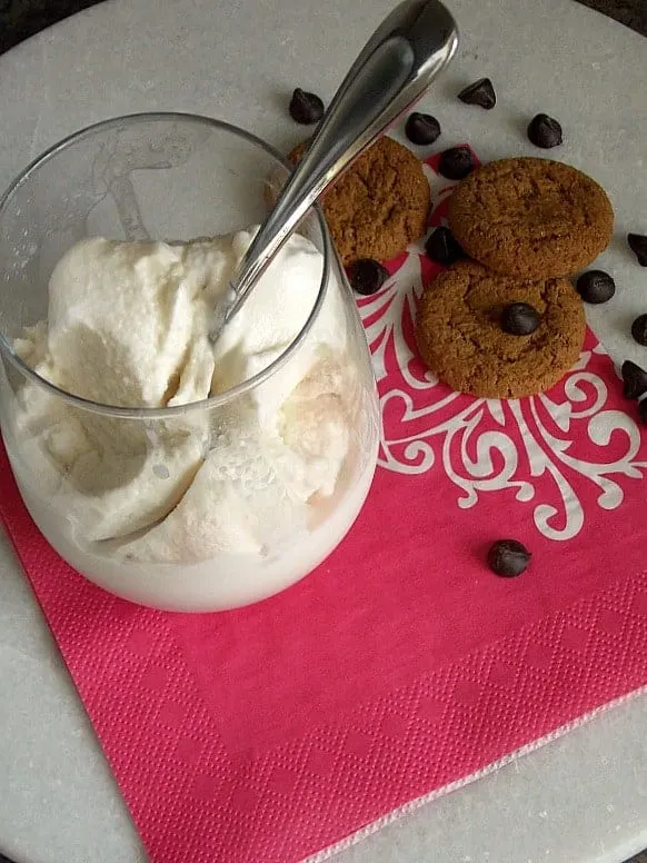 Dairy-Free Vanilla Ice Cream in a cup with spoon