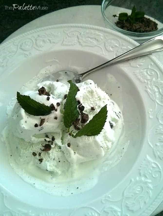 Mint-Chocolate-Chip-Ice-Cream-Finished