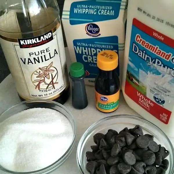 Mint-Chocolate-Chip-Ice-Cream-Ingredients