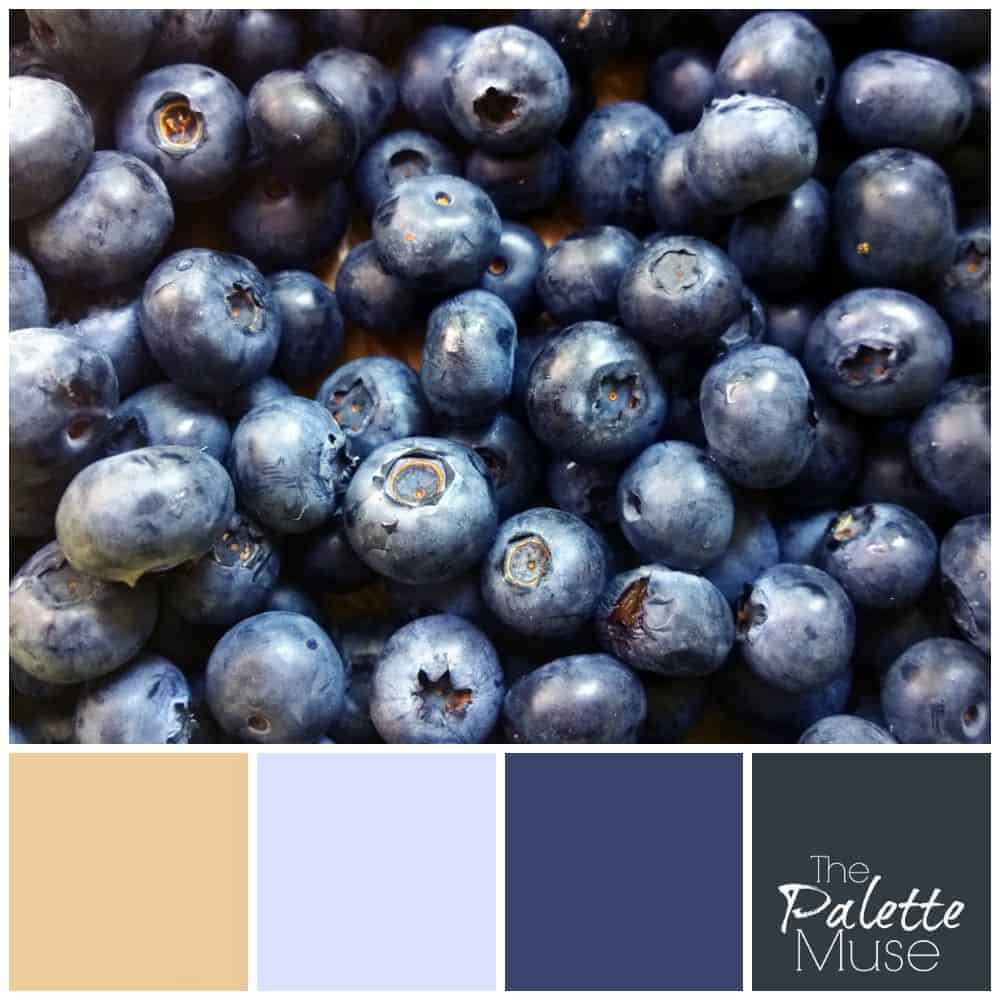 From lightest lilac, to deepest slate blue, this blueberry palette covers the spectrum! ThePaletteMuse.com