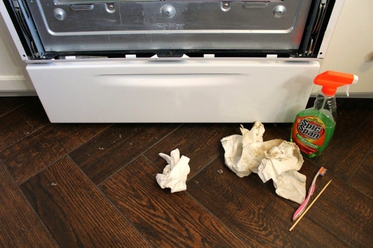 Cleaning Supplies in front of a disassembled oven door.