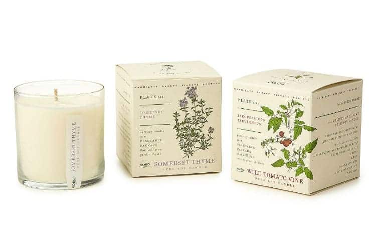 Plant Package Candles