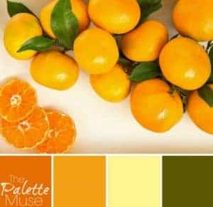 Fresh-Citrus-Palette