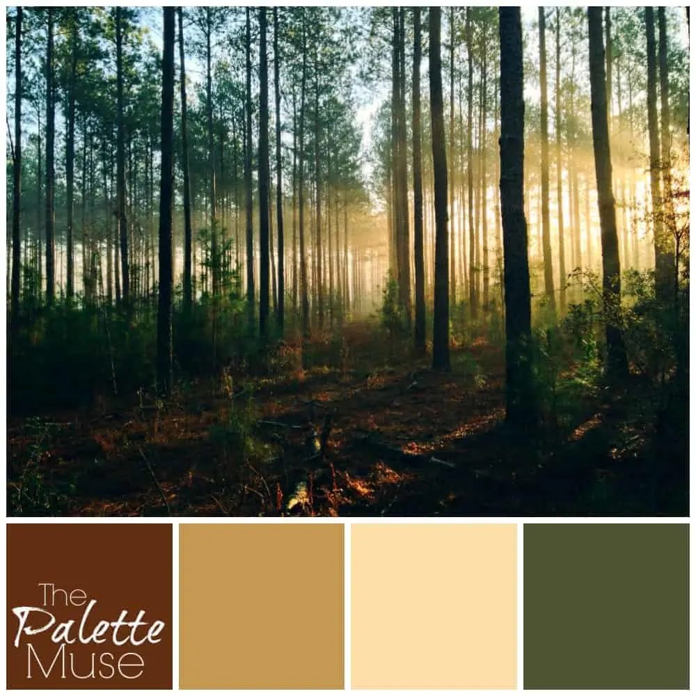 misty-forest-palette