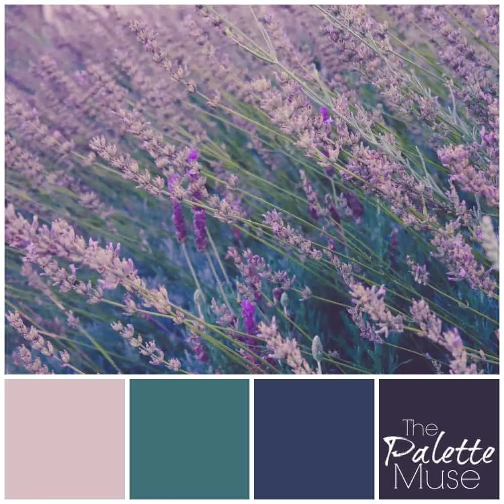 This lavender palette brings out cool blues and greens to complement the purple shades of the plant.