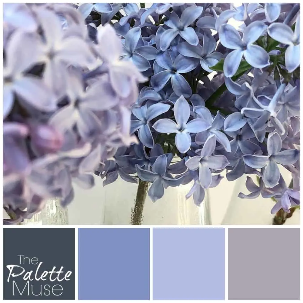 Lilac palette with shades of blue and purple