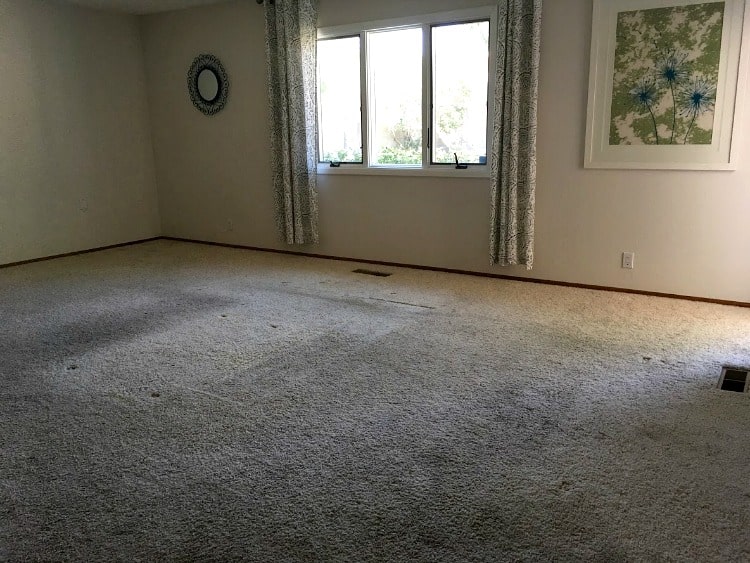 Before replacing carpet with laminate flooring: gross stained carpet