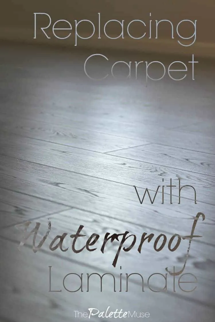 Replacing Carpet with Waterproof Laminate