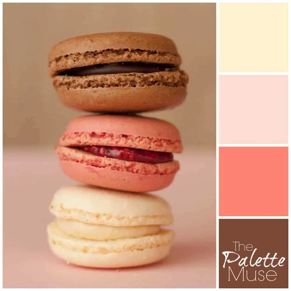 Chocolate, Raspberry, and vanilla macarons provide the tasty inspiration for this neopolitan flavored color palette. #colorpalette #colorinspo #thepalettemuse #neopolitan