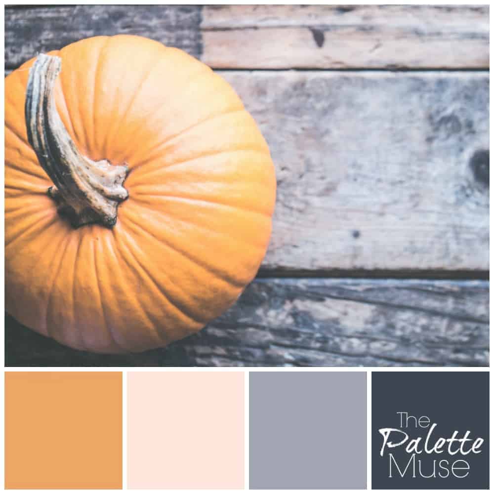 This muted pumpkin palette combines a softened orange hue with neutral blush pink, cool gray, and slate blue for a modern take on fall color.