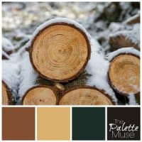 Winter woodpile palette with browns and dark green