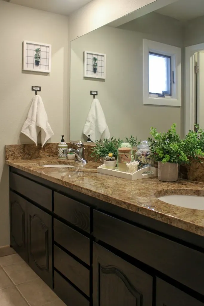 girls bathroom makeover with plants and framed plant prints