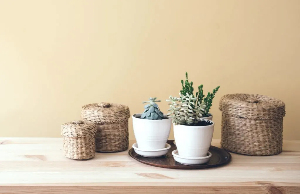 A collection of baskets and potted succulents for staging a home