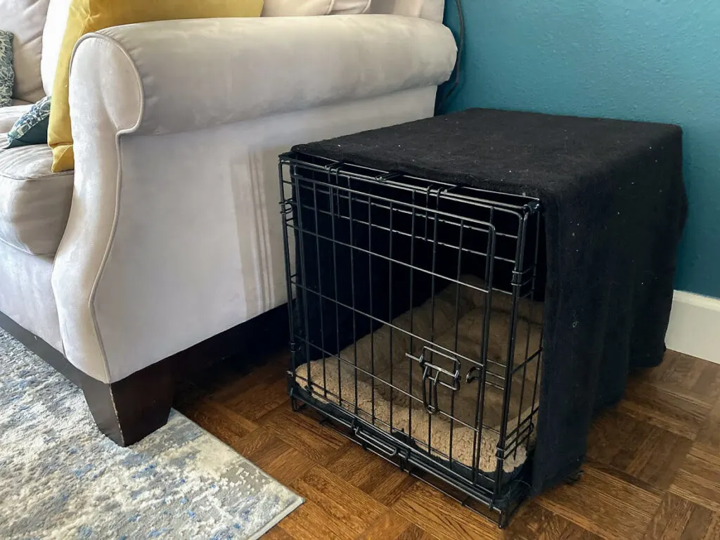Dog crate covered with black blanket next to beige couch