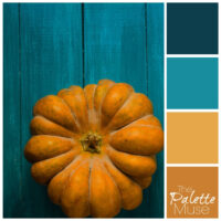 quirky pumpkin palette with warm orange and blue green tones