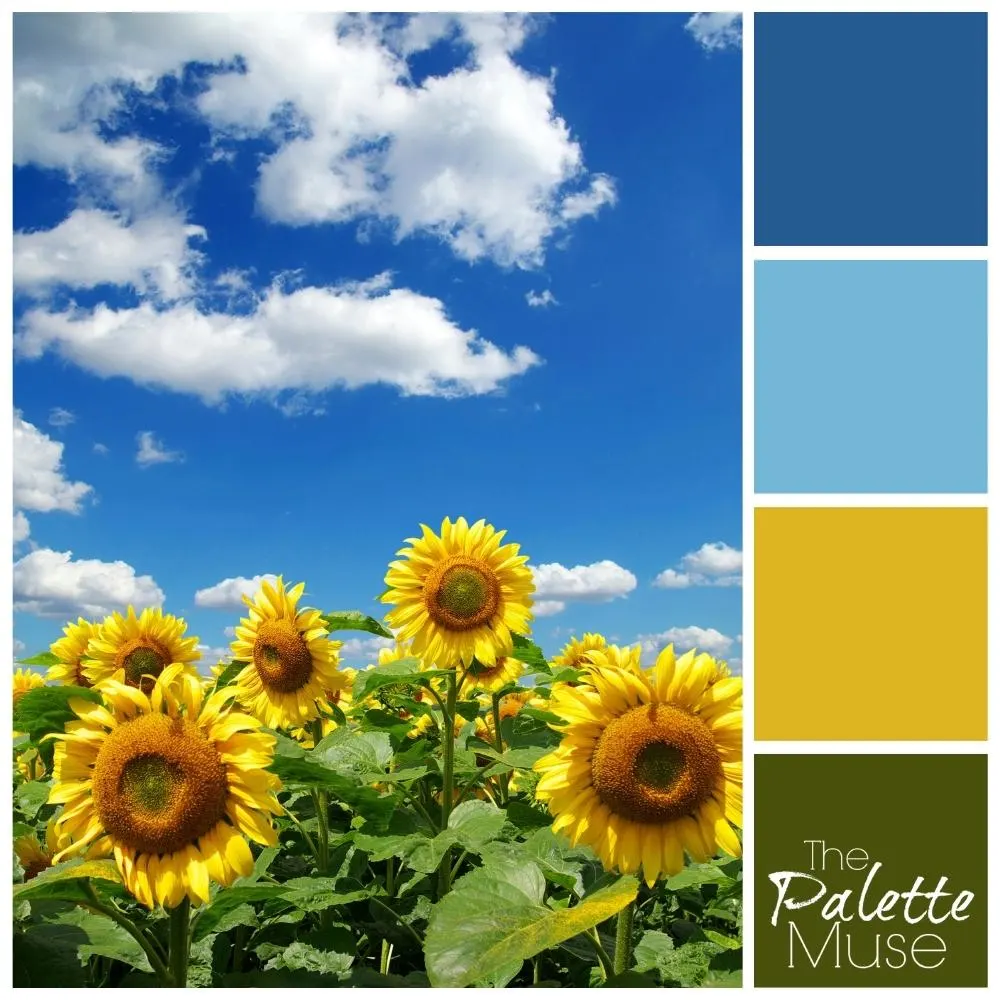 A color palette based on a field of blooming sunflowers against a blue sky. Bright blues and strong yellow, paired with a grounded green.