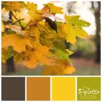 Early fall color palette with brown, orange, yellow and green leaves.