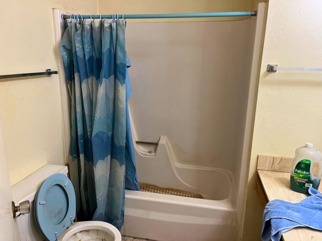 The hall bath was dated and dark, but everything was in the right place.